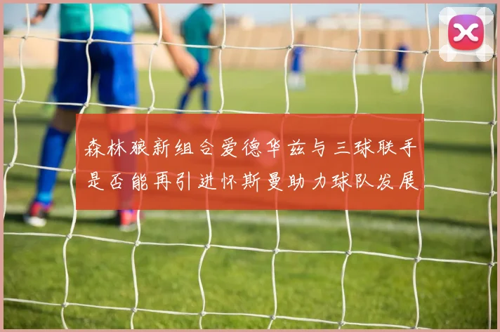 森林狼新组合爱德华兹与三球联手是否能再引进怀斯曼助力球队发展